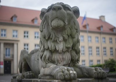 Koszalin-lew